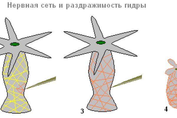 Кракен правильная