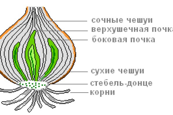 Кракен 2kraken biz